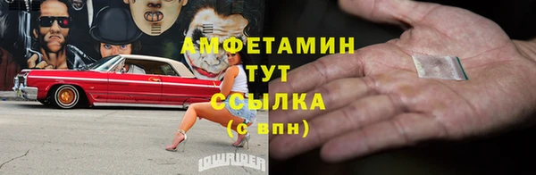 ГАЛЛЮЦИНОГЕННЫЕ ГРИБЫ Аркадак