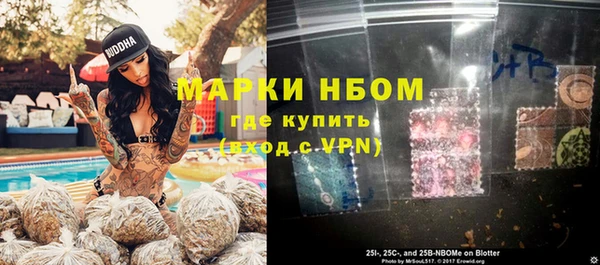 ГАЛЛЮЦИНОГЕННЫЕ ГРИБЫ Аркадак