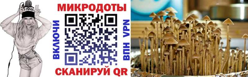 Купить закладки  Буйнакск  Галлюциногенные грибы Psilocybine cubensis 